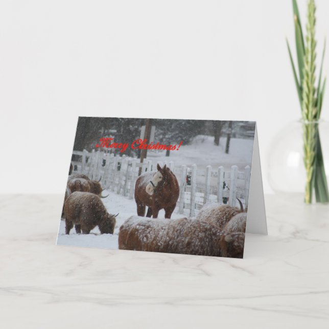 Cartão De Festividades Cavalo da neve, Feliz Natal! (Frente)