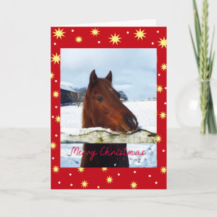 Cartão De Festividades Cavalo de Natal na neve
