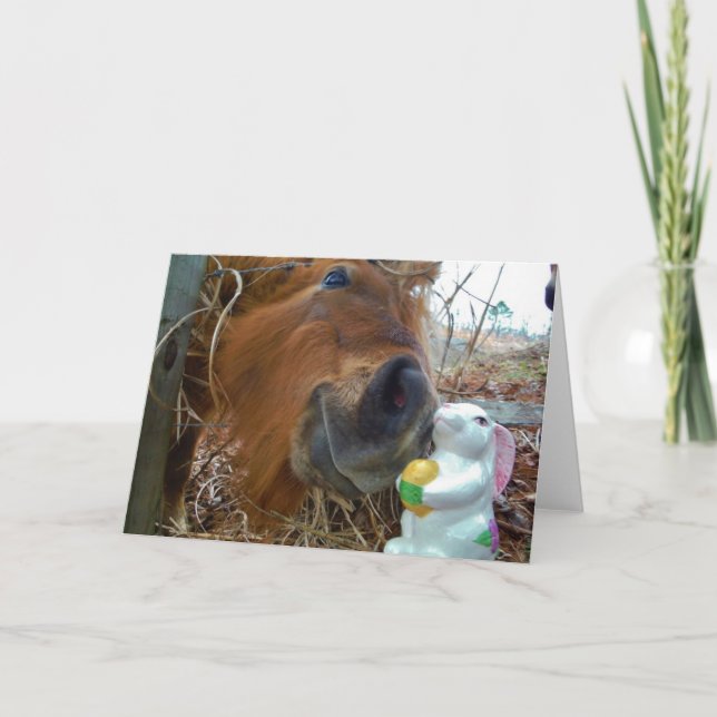 Cartão De Festividades Cavalo do coelhinho da Páscoa e do Brown (Frente)