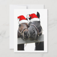 Cavalos de Natal