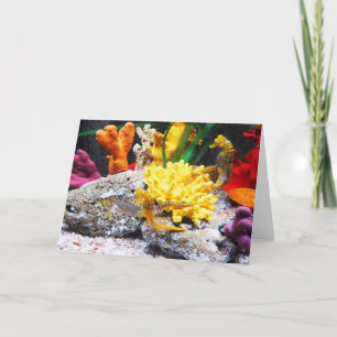 Cartão De Festividades Cavalos-marinhos