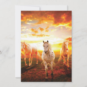Cartão De Festividades Cavalos no travesseiro decorativo do pôr do sol