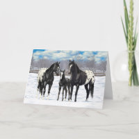 Cavalos Pretos De Appaloosa Na Neve