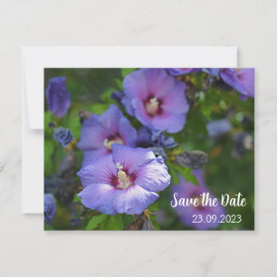 Cartão De Festividades Celebração da Flor de Hibisco Roxo Salve a Data