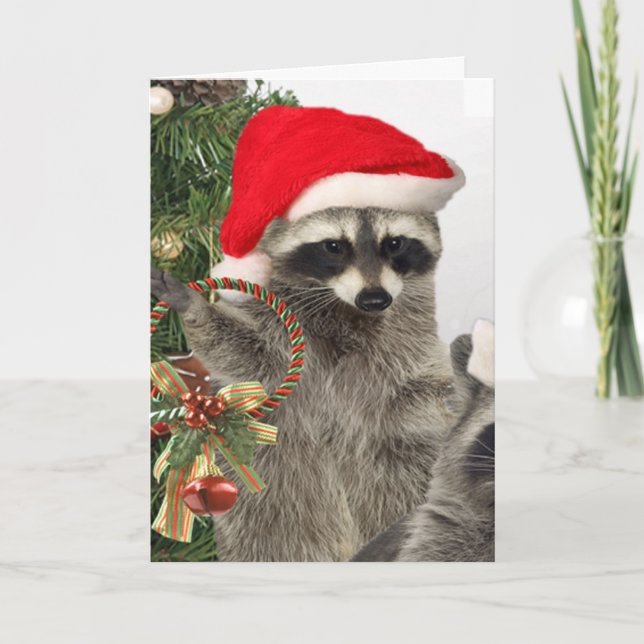 Cartão De Festividades Celebração de Natal Raccoon (Frente)