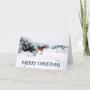 Cartão De Festividades Cena de Inverno de Feliz Natal Russo com Cavalo