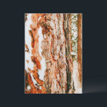 Cartão De Festividades Cena de Inverno em Bend - Oregon<br><div class="desc">Bend,  Oregon no inverno</div>