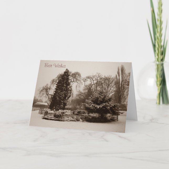 Cartão De Festividades cenário de neve árvores paisagem natal (Frente)