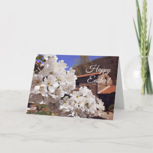Cartão De Festividades Cereja floresce. Felz pascoa.