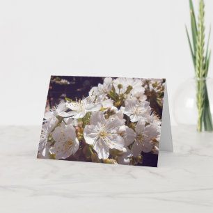 Cartão De Festividades Cereja floresce. felz pascoa.