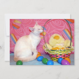 Cartão De Festividades Cesta de Páscoa da Tiffanys - Gato/ Gatito  - Cart