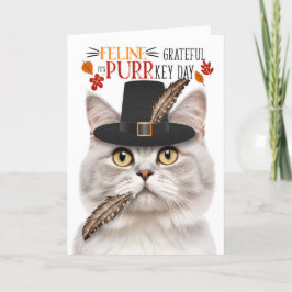 Cartão De Festividades Champagne Tabby Cat Grateful para PURRkey Day