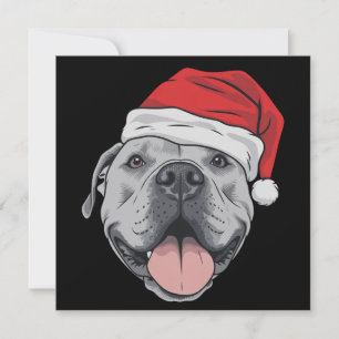 Cartão De Festividades Chapéu de Papai Noel Pitbull Pit Natal Xmas Amante