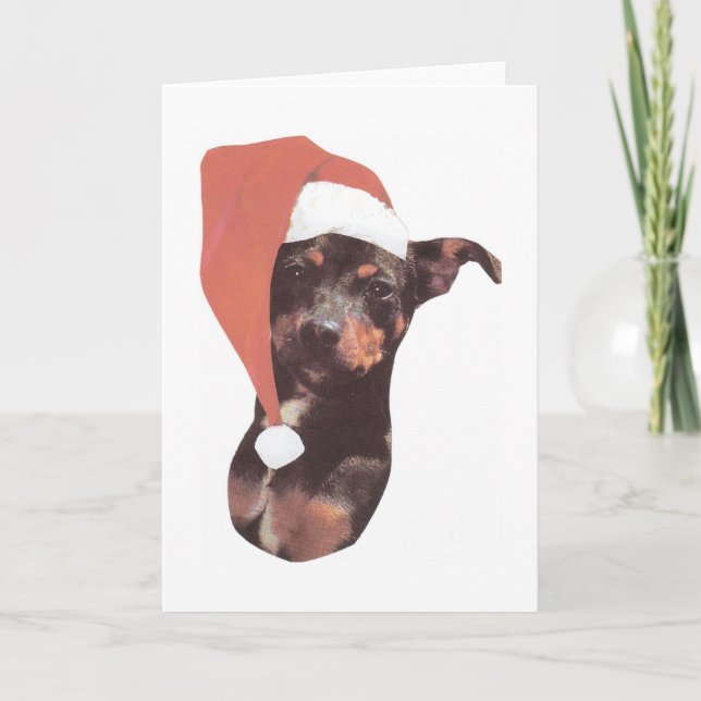 Cartão De Festividades Chapéu do papai noel do Pinscher diminuto (Frente)