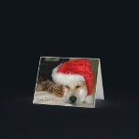 Cartão De Festividades Chapéu vermelho do papai noel do cão bonito de<br><div class="desc">O nome deste japonês que bonito e muito bonito akita está neste grande cartão de nota do Natal é nomeado Ásia, é um akita vermelho, parte akita de tipo americano e peça o tipo japonês akita. Ásia é um cão do salvamento e este era seu primeiro Natal, olha um bocado...</div>