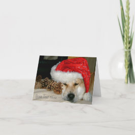 Cartão De Festividades Chapéu vermelho do papai noel do cão bonito de