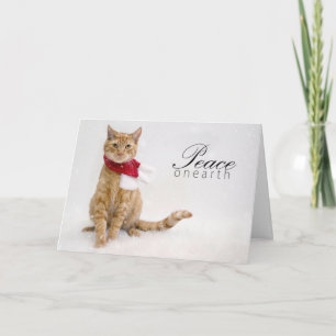 Cartão De Festividades Charity Holiday Cards