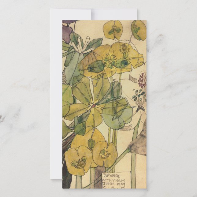 Cartão De Festividades Charles Rennie Mackintosh - Spurge Com Yham 1909 (Frente)