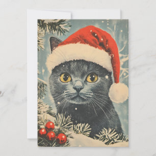 Cartão De Festividades Chartreux Cat Natal