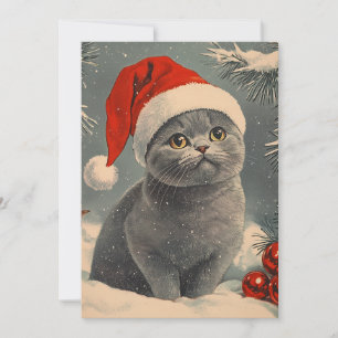 Cartão De Festividades Chartreux Cat Natal