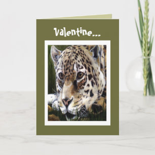 Cartão De Festividades Cheetah Valentine Card