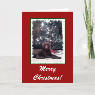 Cartão De Festividades Chesapeake Bay Retriever, Feliz Natal!