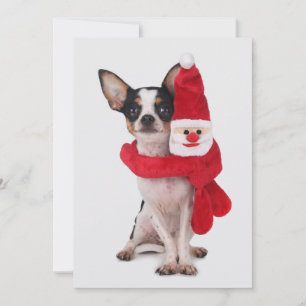 Cartão De Festividades Chihuahua with Santa Claus doll