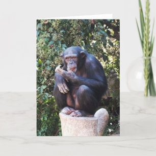 Cartão De Festividades Chimpanzé