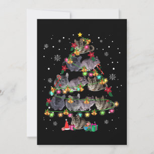 Cartão De Festividades Chinchilla Árvore Natal Roedores Engraçados Pass