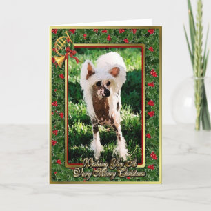 Cartão De Festividades Chinese Crested Dog Blank Christmas Card
