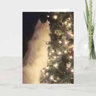 Cartão De Festividades Chiristmas Card