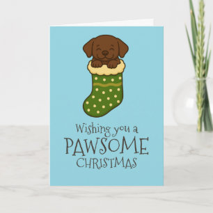 Cartão De Festividades Chocolate Labrador em Meia de Natal