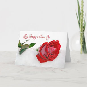Cartão De Festividades Christmas Anniversary Rose
