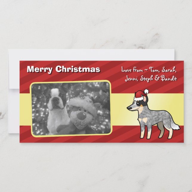 Cartão De Festividades Christmas Australian Cattle Dog / Kelpie (Frente)