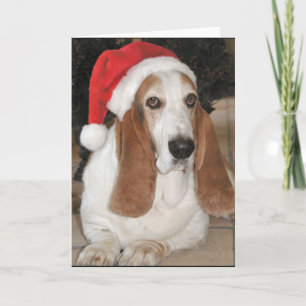 Cartão De Festividades Christmas Basset Card Blank Inside