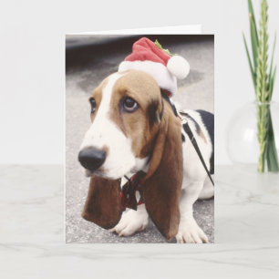 Cartão De Festividades Christmas Basset Hound in Santa Hat Greeting Card