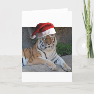 Cartão De Festividades Christmas Bengal Tiger