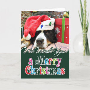 Cartão De Festividades Christmas - Bernese Mountain Dog - Mya