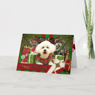 Cartão De Festividades Christmas - Bichon Frise - Lilly