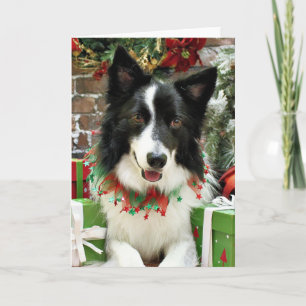 Cartão De Festividades Christmas - Border Collie - Jessup