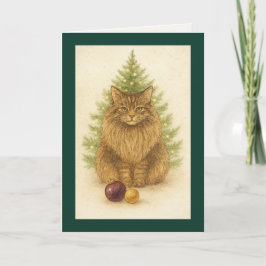 Cartão De Festividades Christmas Card – Maine Coon Cat