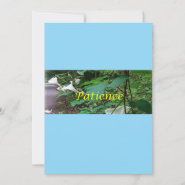 Cartão De Festividades Christmas card patience