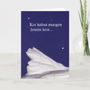 Cartão De Festividades Christmas Card- Rami naktis
