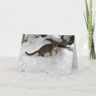 Cartão De Festividades Christmas card - Rusty spotted cat 2