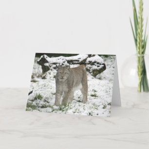 Cartão De Festividades Christmas card - Siberian lynx