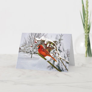 Cartão De Festividades Christmas, Cardinal Bird, Snow, Card