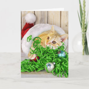 Cartão De Festividades Christmas cat in hat