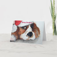 Christmas Cavalier King Charles Spaniel