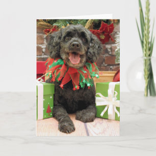 Cartão De Festividades Christmas - Cockapoo - Rocky