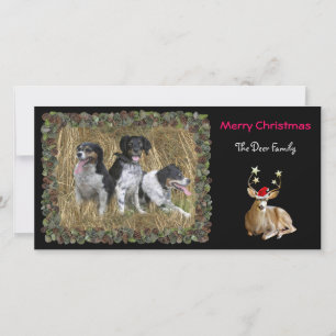 Cartão De Festividades Christmas Deer Photo Card